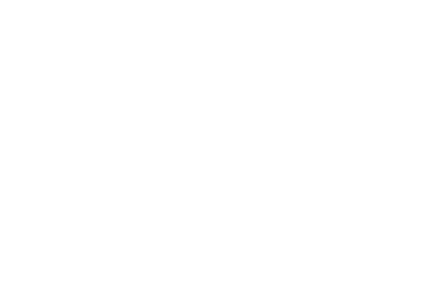 Croods: A New Age