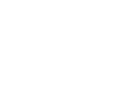 Netflix Stories Logo